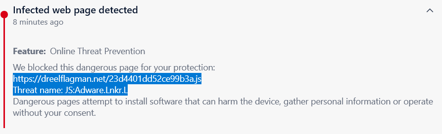 what is dreelflagman.net